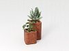 Planter «EDO»