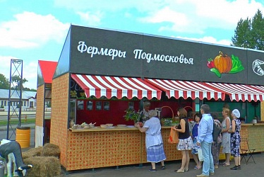 Summer market at VDNKh, Moscow (2016 year)